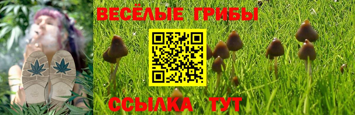 что такое   Галлюциногенные грибы ЛСД  Вход с VPN  Гулькевичи  Галлюциногенные грибы MAGIC MUSHROOMS 